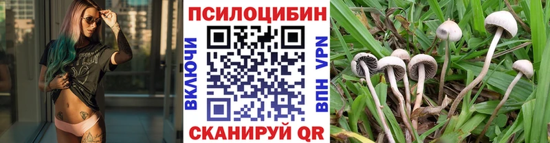 блэк спрут ссылка  хочу   Болохово  Псилоцибиновые грибы мухоморы 