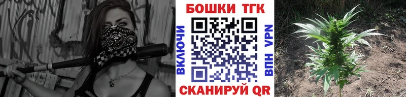 где найти наркотики Болохово МАРИХУАНА Ganja